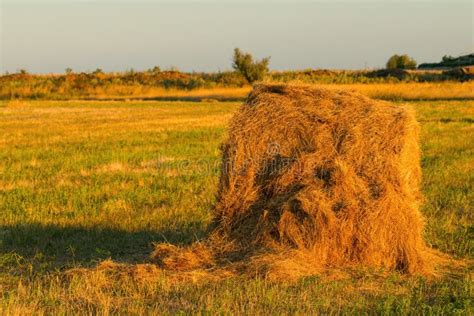 Haystack 的图像结果