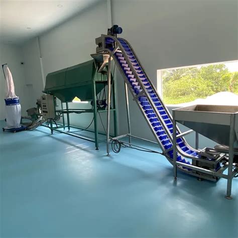 How to Start a Cashew Processing Business in India in 8 Steps