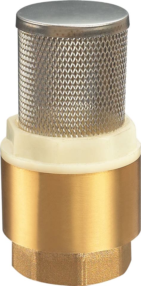 Brass Check Non-Return Valve for Plumbing Use - Brass Valve and Valve