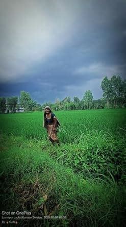 Buy Homosexuality and Invisibility in Revolutionary Cuba Book Online at ...