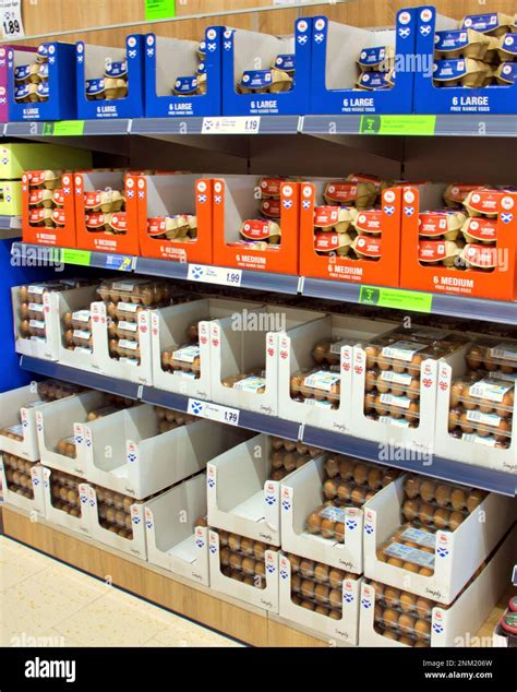 Lidl eier -Fotos und -Bildmaterial in hoher Auflösung – Alamy - do they have lidl in america
