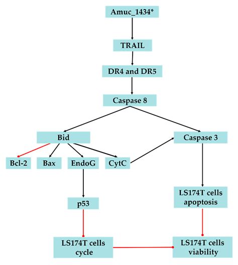 Akkermansia muciniphila Aspartic Protease Amuc_1434* Inhibits Human ...