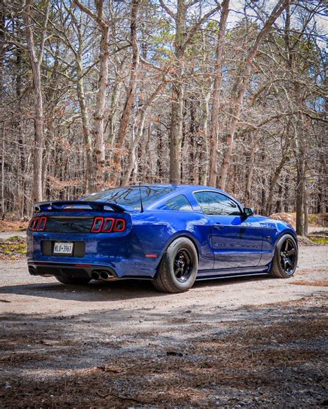 2014 Mustang GT in the Woods