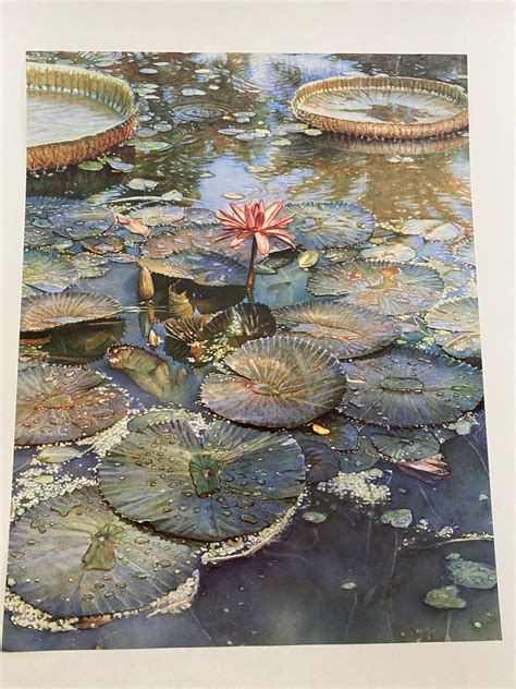 Steve Hanks, Water Lilies, Woman, Nude, Lying, Emotion, Poster, Double-sided, Painting ...