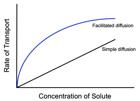 Image result for Diffusion Simple
