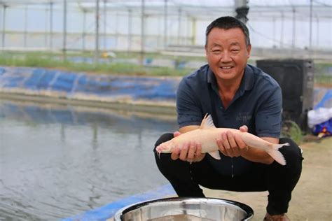 河南农村老师傅包7分地的鱼塘养黑鱼鱼，一年能挣多少钱？他说的句句都是大实话 - YouTube