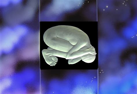 Alison Kinnaird | Corning Museum of Glass