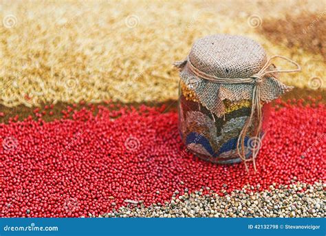 Agriculture Seeds 的图像结果