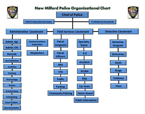 Image result for Police Command Structure