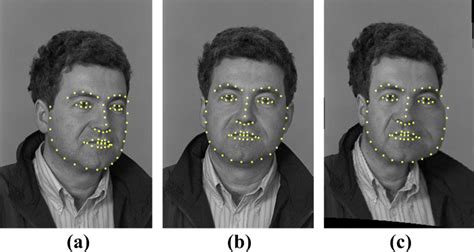 Image result for Warping Face Python