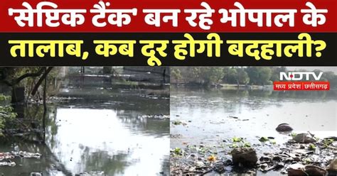 Bhopal Ponds News : 'Septic Tank'' बन रहे भोपाल के तालाब, कब दूर होगी ...
