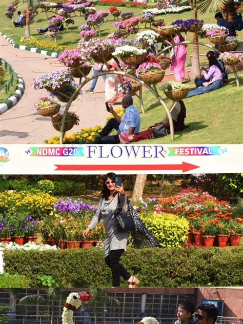 G20 Flower Festival: Bonhomie in colourful array at Connaught Place in ...