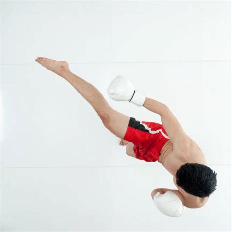 Boxing Ring Top View 的图像结果