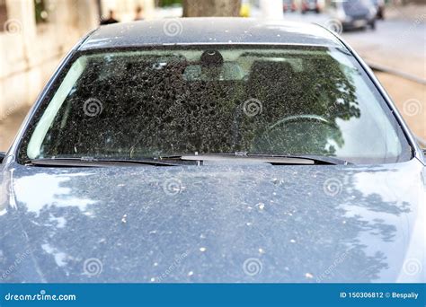 The Windshield of a Dirty Car. Stock Photo - Image of close, automobile ...