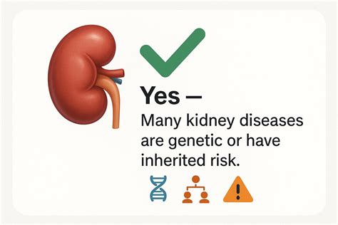 Is Kidney Disease Genetic? Role of Family History – Ribbon Checkup