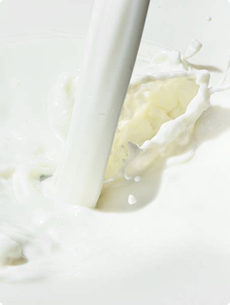 Iceberg Organic Ice Creams