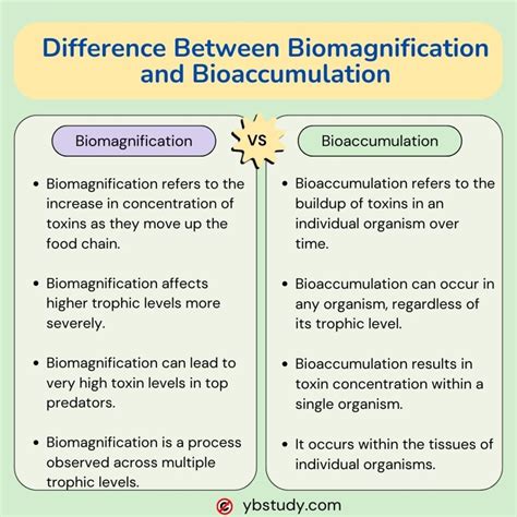 5 Key Difference Between Biomagnification and Bioaccumulation - Biology ...