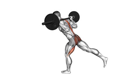 Image result for Lower Back Workout