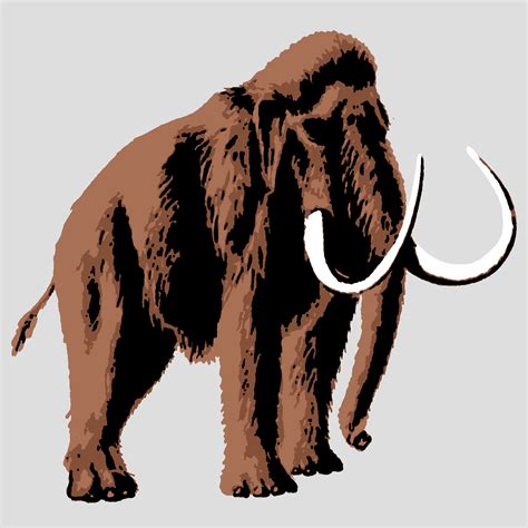 Woolly Mammoth Drawing | Free download on ClipArtMag