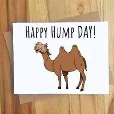 Hump Day Kamel Meme