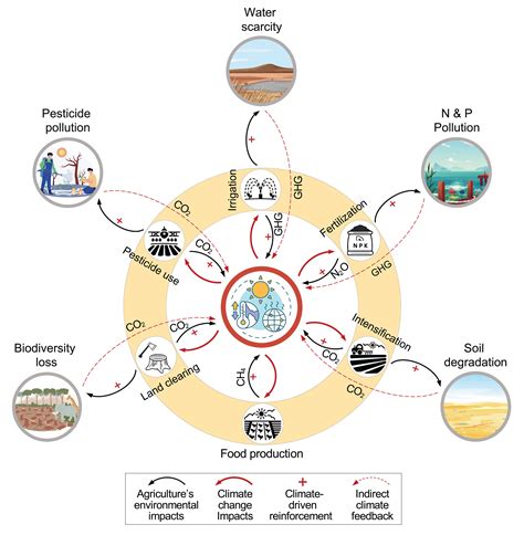 How Climate Change Affects Food Production (And What Farmers Can Do)