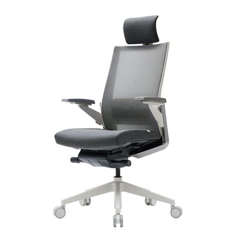Buy T80 Ergonomic Home Office Chair : German Mechanism for Extreme ...