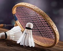 badminton 的图像结果