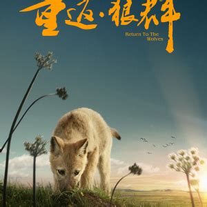 Wolves Action (狼群行动, 2019) :: Everything about cinema of Hong Kong, China and Taiwan