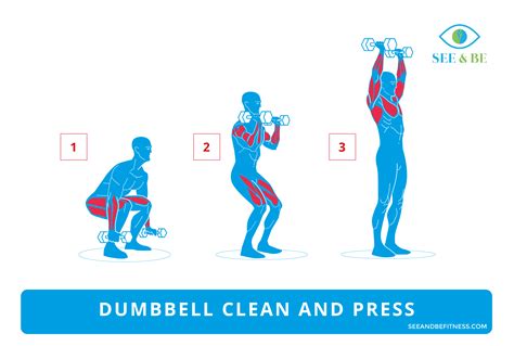 Day 35 Exercise: Dumbbell Clean and Press The Dumbbell Clean and Press ...