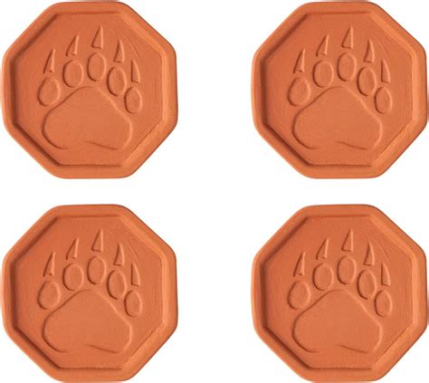 Brown Sugar Bear Amazon August 2026