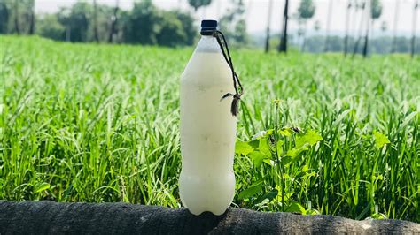 Top 7 Desi Liquor Brands in India: भारत के वो 7 देसी शराब ब्रांड, जिनकी ...