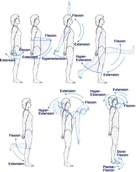 Flexion Vs Extension
