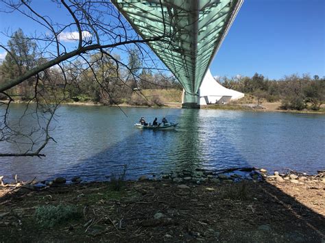 Sightseeing In Redding, CA - The Sunporch - MrsSurvival Discussion Forums