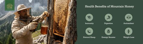 Top 10 Health Benefits of Mountain Honey | Rootsveyr – ROOTS VEYR ONLINE