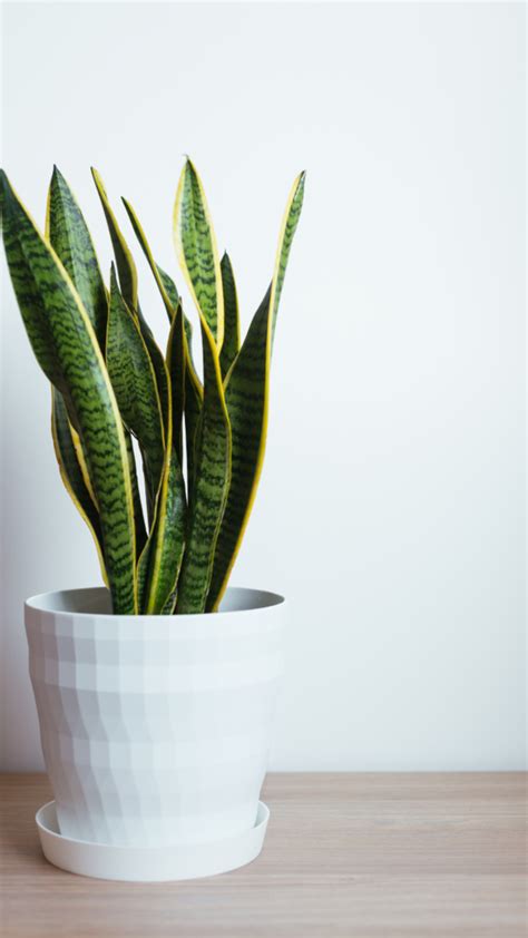 Epstein client list: Megyn Kelly blasts Pam Bondi, calls her 'too lazy ...