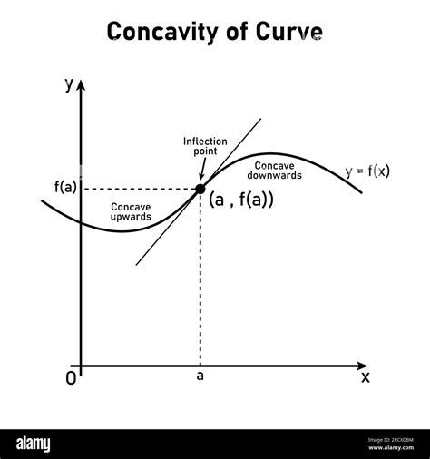Concavity of curve. Inflection point, concave down and concave up ...