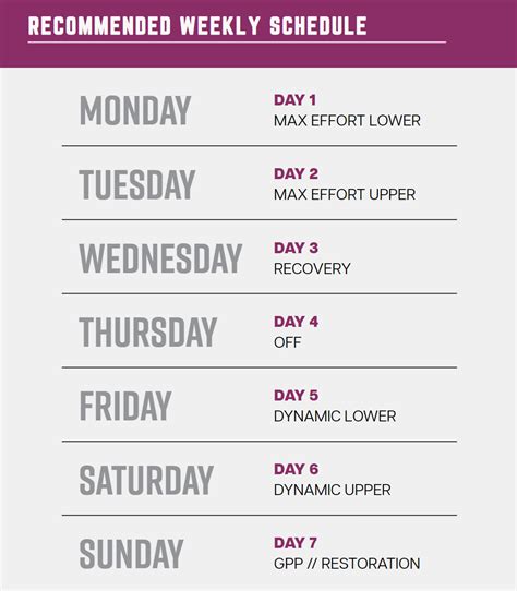 Image result for Intermediate Powerlifting Program