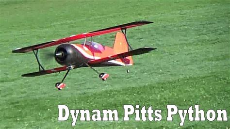 Image result for Dynam Pitts Python
