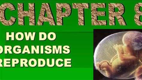 Image result for How Do Organisms Reproduce Class 10 Explanation