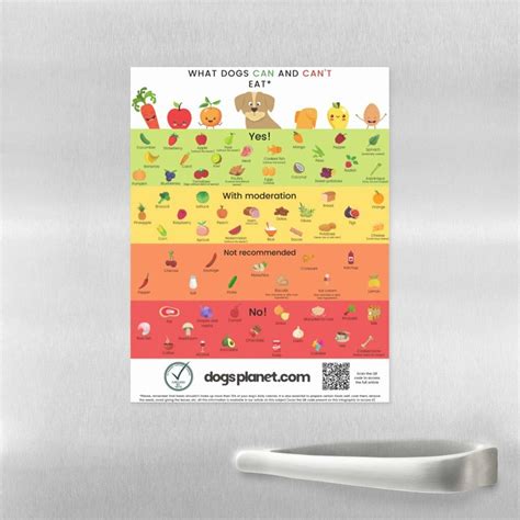 Can dogs eat ranch dressing? The answer from a vet! - DogsPlanet.com