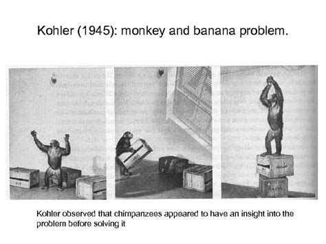 Chimp Problem Solving 的图像结果