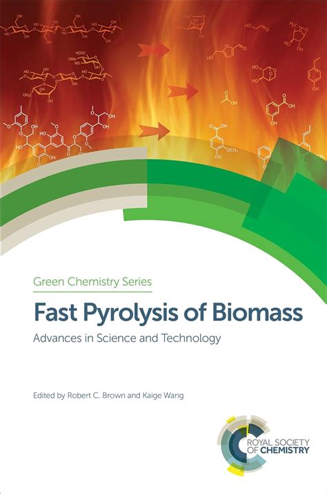 Fast Pyrolysis of Biomass: Advances in Science and Technology (Green ...