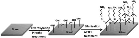 Electrophoretic Deposition of Carbon Nanotubes on 3-Amino-Propyl ...