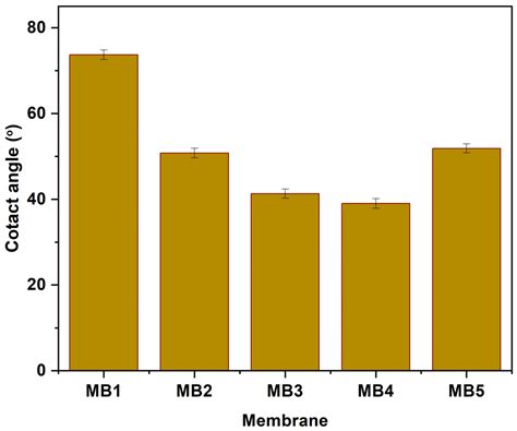 Modification of Polylactide-poly (butylene adipate-co-terephthalate ...