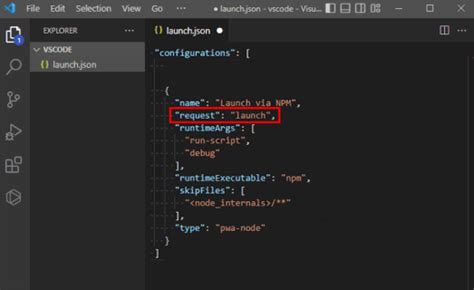 Launch JSON vs Code 的图像结果