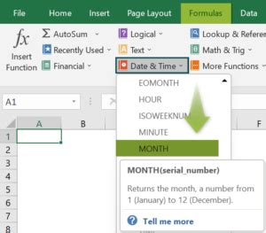 Image result for Excel Month Input Function