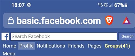 FB Basic 的图像结果