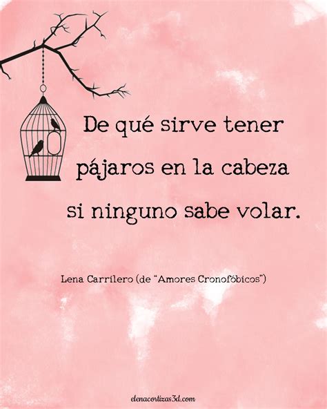 De qué sirve tener pájaros en la cabeza si ninguno sabe volar | Pajaros ...