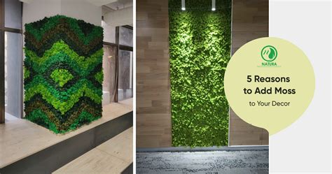 Moss Wall Archives | Interior Design Ideas