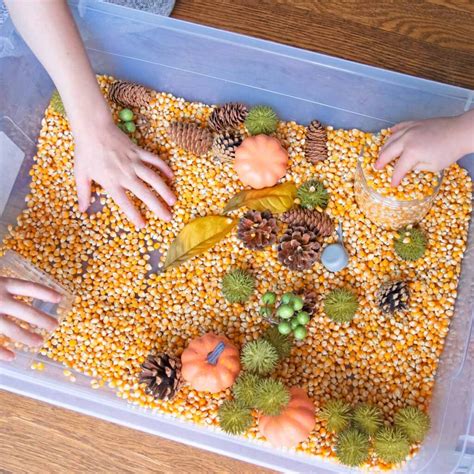 Fall Sensory Bin - Busy Toddler